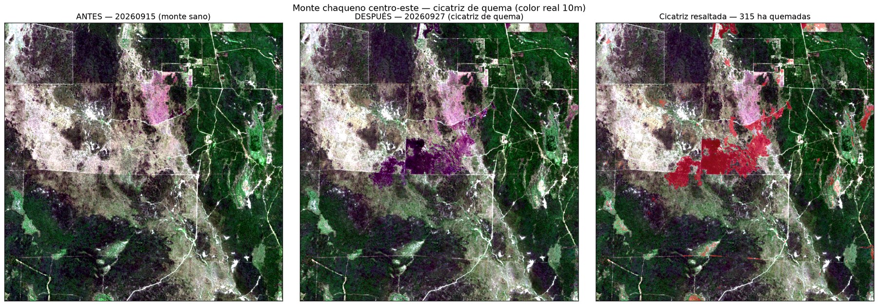 Monte chaqueño centro-este: bosque sano vs cicatriz de quema en color real